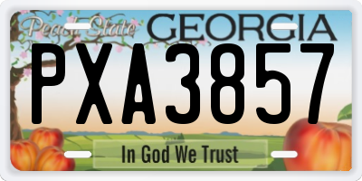 GA license plate PXA3857