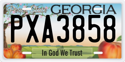 GA license plate PXA3858