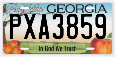 GA license plate PXA3859