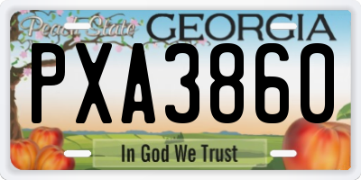 GA license plate PXA3860