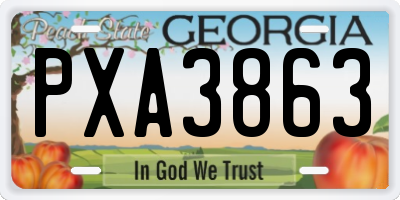 GA license plate PXA3863