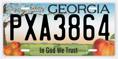 GA license plate PXA3864