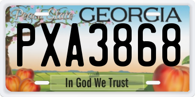 GA license plate PXA3868