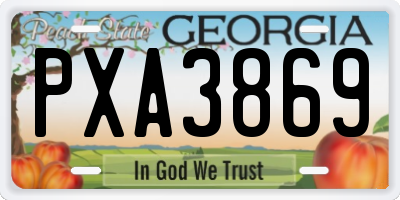 GA license plate PXA3869
