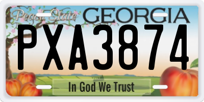 GA license plate PXA3874