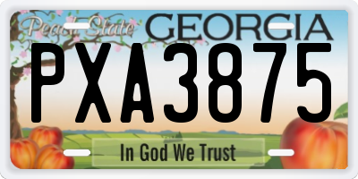 GA license plate PXA3875