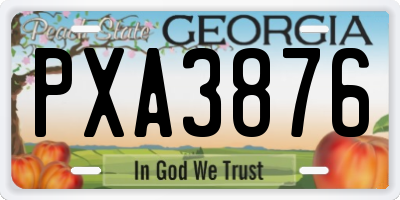 GA license plate PXA3876