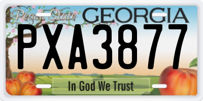GA license plate PXA3877
