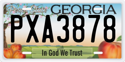 GA license plate PXA3878