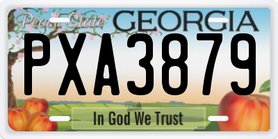 GA license plate PXA3879