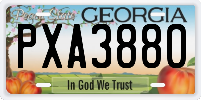 GA license plate PXA3880