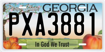 GA license plate PXA3881