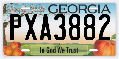 GA license plate PXA3882