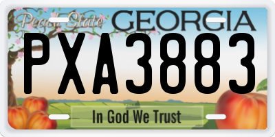GA license plate PXA3883