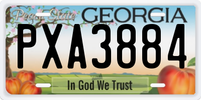 GA license plate PXA3884