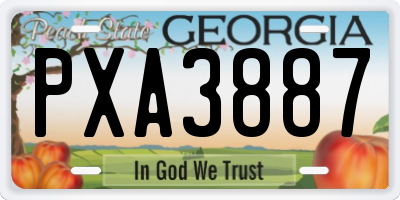 GA license plate PXA3887