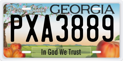 GA license plate PXA3889