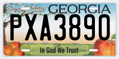 GA license plate PXA3890