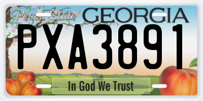 GA license plate PXA3891