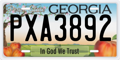 GA license plate PXA3892