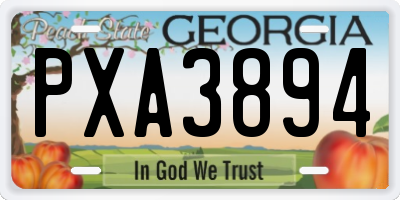 GA license plate PXA3894