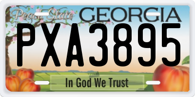 GA license plate PXA3895