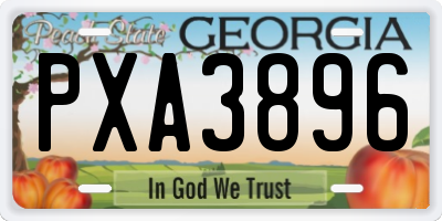 GA license plate PXA3896