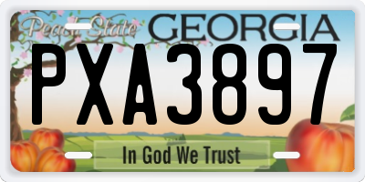 GA license plate PXA3897