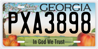 GA license plate PXA3898