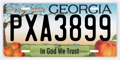 GA license plate PXA3899