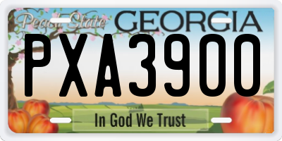 GA license plate PXA3900