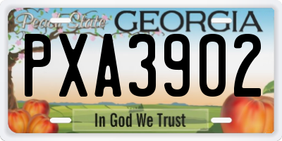 GA license plate PXA3902