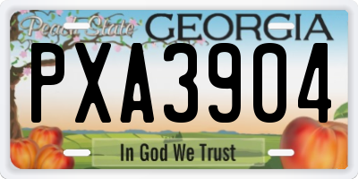GA license plate PXA3904