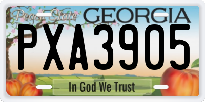 GA license plate PXA3905