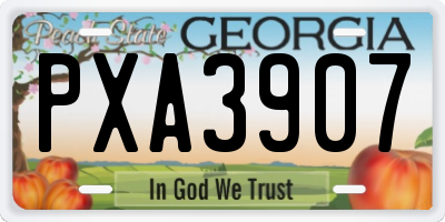 GA license plate PXA3907