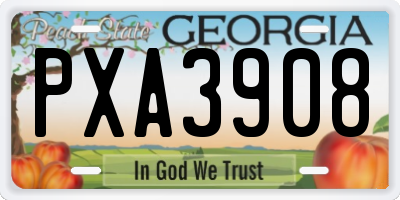 GA license plate PXA3908