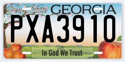 GA license plate PXA3910