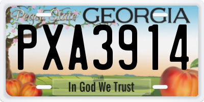 GA license plate PXA3914