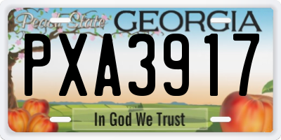 GA license plate PXA3917