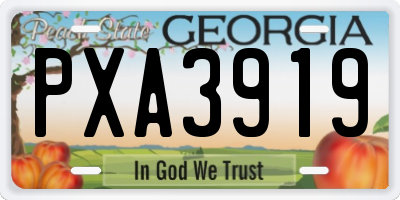 GA license plate PXA3919
