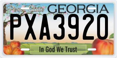 GA license plate PXA3920
