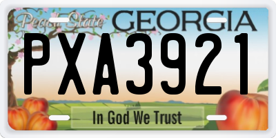 GA license plate PXA3921