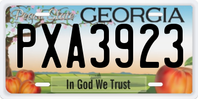 GA license plate PXA3923
