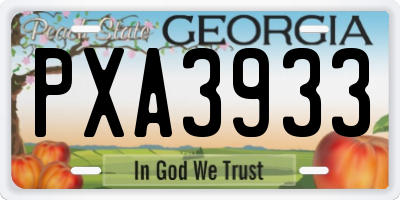 GA license plate PXA3933