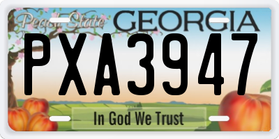 GA license plate PXA3947