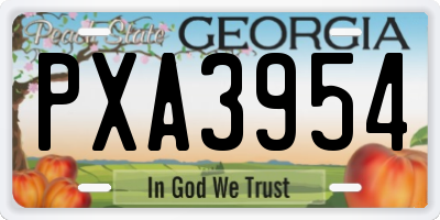 GA license plate PXA3954