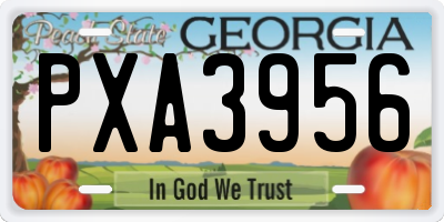 GA license plate PXA3956