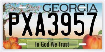 GA license plate PXA3957