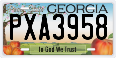 GA license plate PXA3958