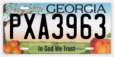 GA license plate PXA3963